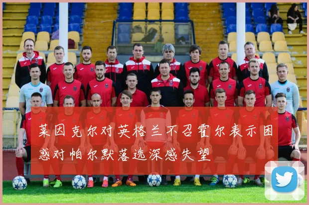 莱因克尔对英格兰不召霍尔表示困惑对帕尔默落选深感失望