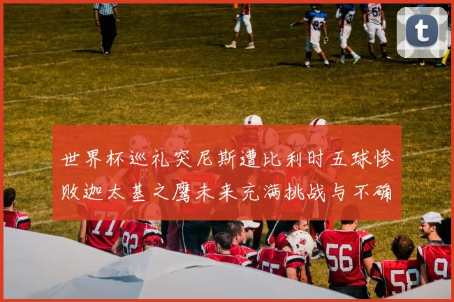 世界杯巡礼突尼斯遭比利时五球惨败迦太基之鹰未来充满挑战与不确定性