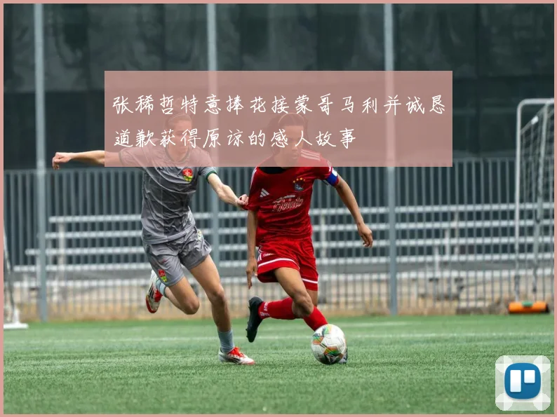 张稀哲特意捧花接蒙哥马利并诚恳道歉获得原谅的感人故事
