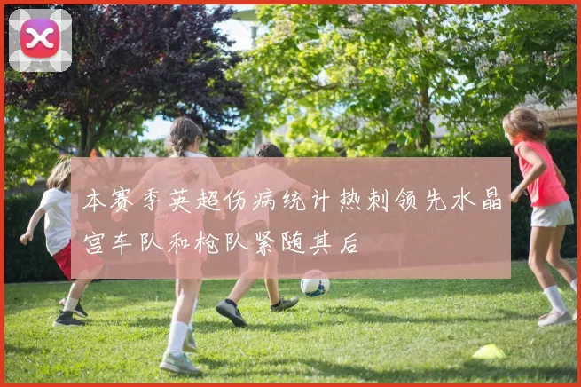 本赛季英超伤病统计热刺领先水晶宫车队和枪队紧随其后